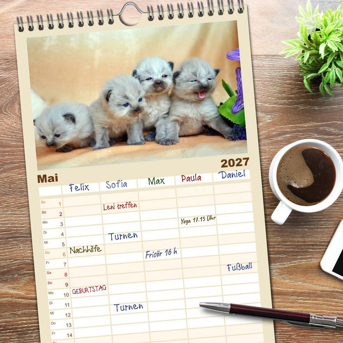 Katzenparade (CALVENDO Familienplaner 2027)