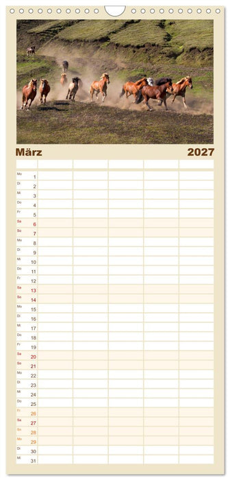 Island - Land zwischen Feuer und Eis (CALVENDO Familienplaner 2027)