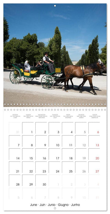 Vienna Austria (CALVENDO Monthly Calendar 2027)