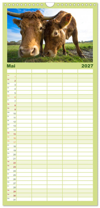 Kuhckst du? (CALVENDO Familienplaner 2027)