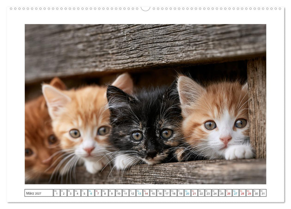 Neugierig auf das Leben! (CALVENDO Wandkalender 2027)