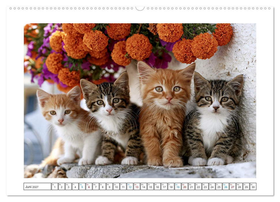 Neugierig auf das Leben! (CALVENDO Wandkalender 2027)