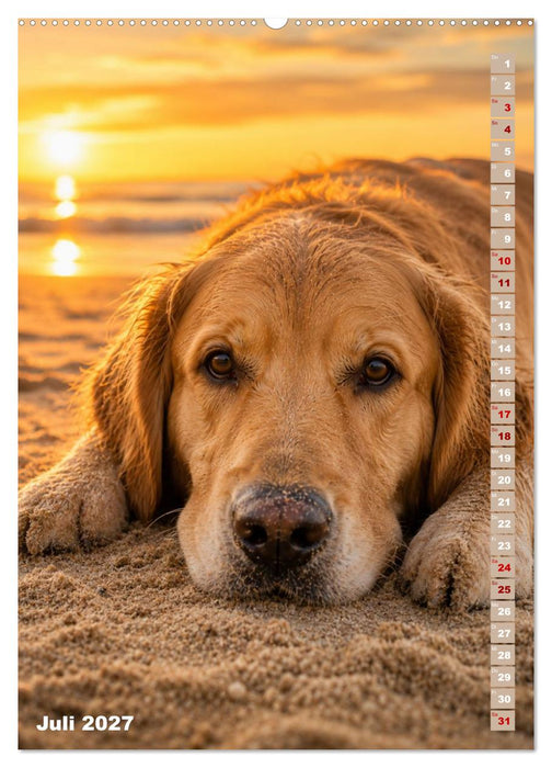 Golden Retriever – Treue, Lebensfreude und Freundschaft (CALVENDO Premium Wandkalender 2027)