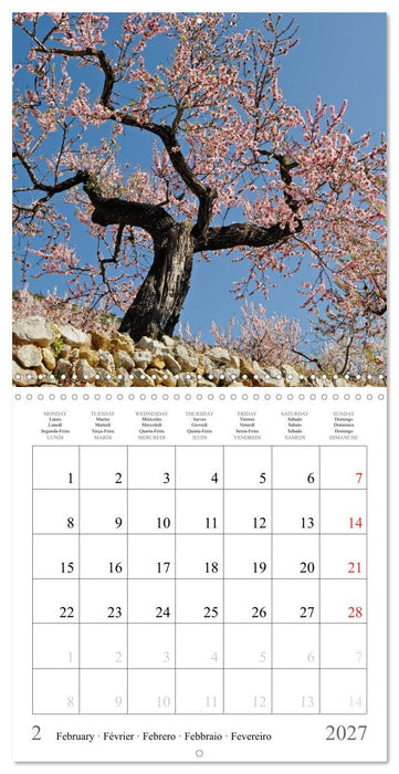 Costa Blanca Spain´s Sun-Kissed South (CALVENDO Monthly Calendar 2027)