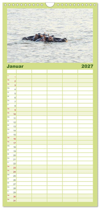 Nilpferde, Kolosse im Wasser (CALVENDO Familienplaner 2027)