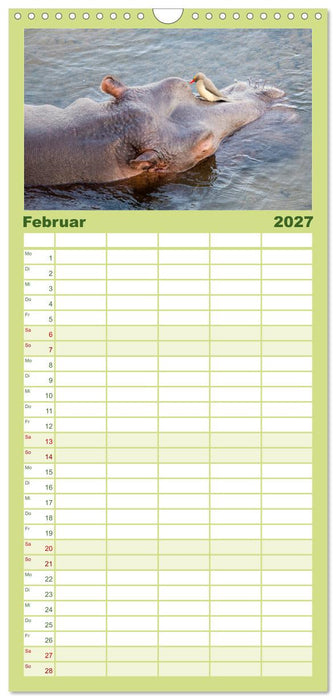 Nilpferde, Kolosse im Wasser (CALVENDO Familienplaner 2027)