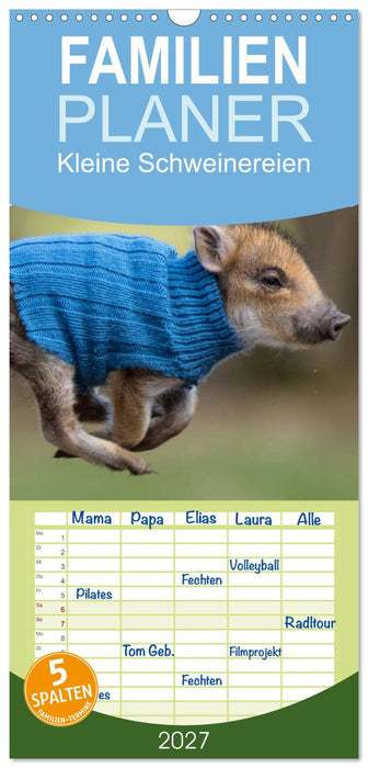 Kleine Schweinereien (CALVENDO Familienplaner 2027)