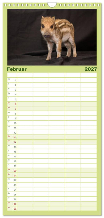 Kleine Schweinereien (CALVENDO Familienplaner 2027)
