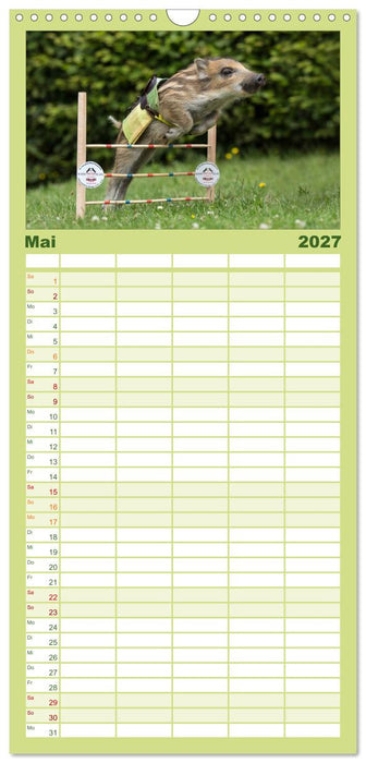 Kleine Schweinereien (CALVENDO Familienplaner 2027)