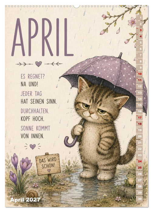 Kuschelmomente mit Katzen (CALVENDO Premium Wandkalender 2027)