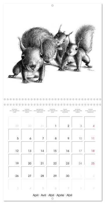 owls and mates 2027 (CALVENDO Monthly Calendar 2027)