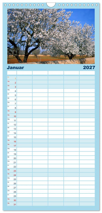 Trauminsel Mallorca (CALVENDO Familienplaner 2027)