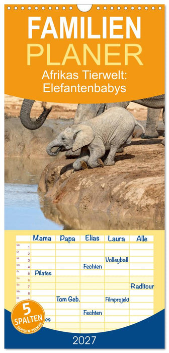 Afrikas Tierwelt: Elefantenbabys (CALVENDO Familienplaner 2027)