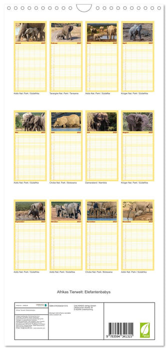 Afrikas Tierwelt: Elefantenbabys (CALVENDO Familienplaner 2027)