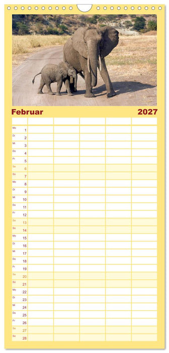 Afrikas Tierwelt: Elefantenbabys (CALVENDO Familienplaner 2027)