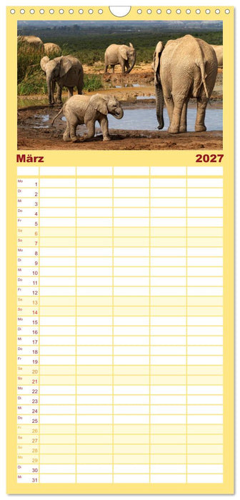 Afrikas Tierwelt: Elefantenbabys (CALVENDO Familienplaner 2027)