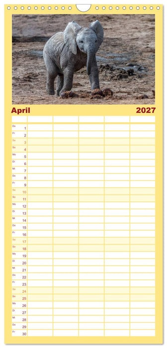 Afrikas Tierwelt: Elefantenbabys (CALVENDO Familienplaner 2027)