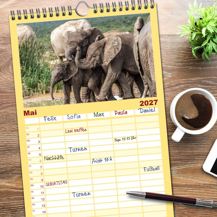Afrikas Tierwelt: Elefantenbabys (CALVENDO Familienplaner 2027)