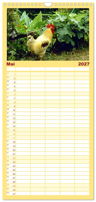 LANDLEBEN (CALVENDO Familienplaner 2027)