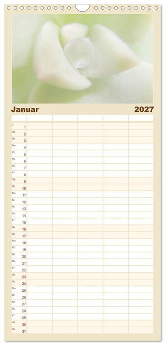 Erotische Natur (CALVENDO Familienplaner 2027)