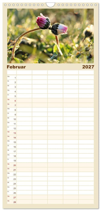 Erotische Natur (CALVENDO Familienplaner 2027)