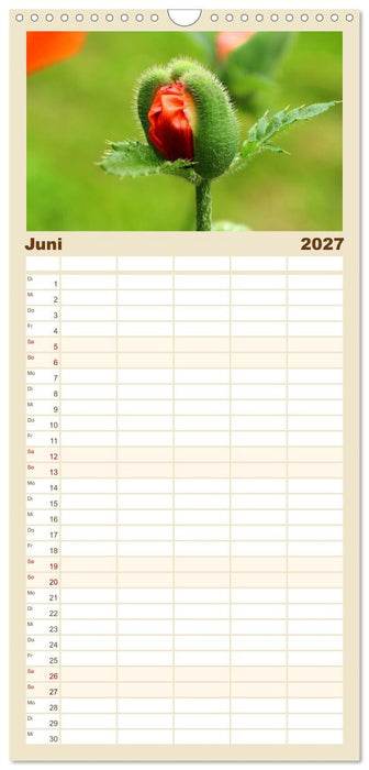 Erotische Natur (CALVENDO Familienplaner 2027)