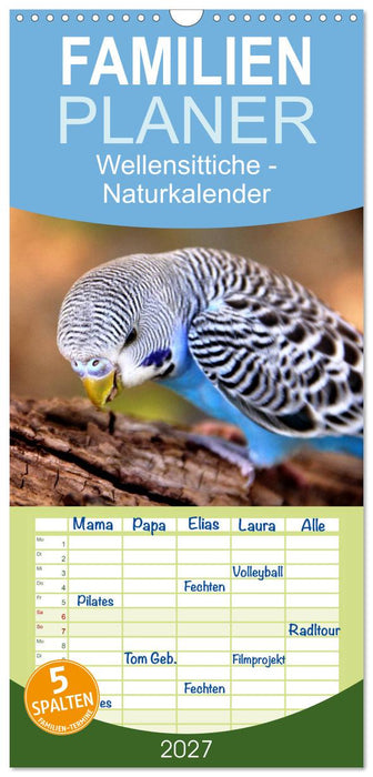 Wellensittiche - Naturkalender (CALVENDO Familienplaner 2027)
