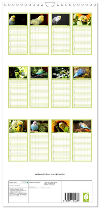 Wellensittiche - Naturkalender (CALVENDO Familienplaner 2027)