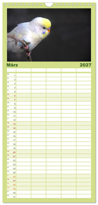 Wellensittiche - Naturkalender (CALVENDO Familienplaner 2027)