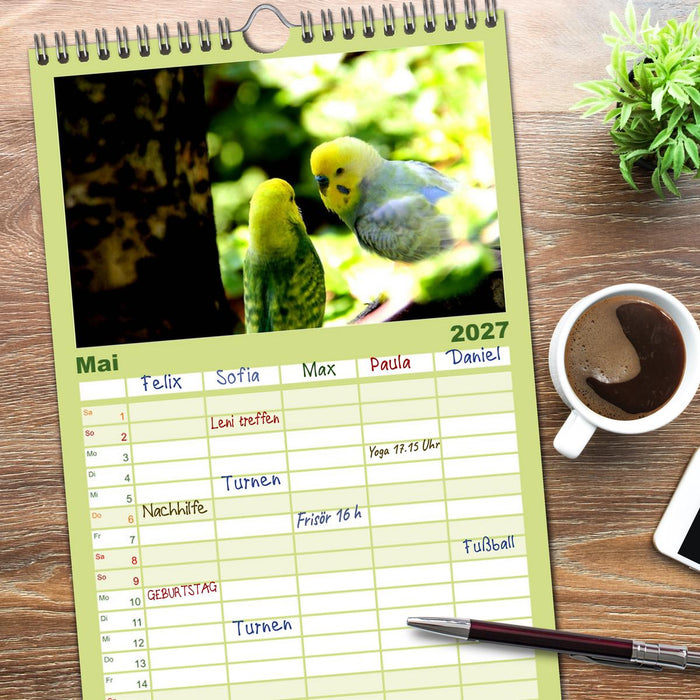 Wellensittiche - Naturkalender (CALVENDO Familienplaner 2027)