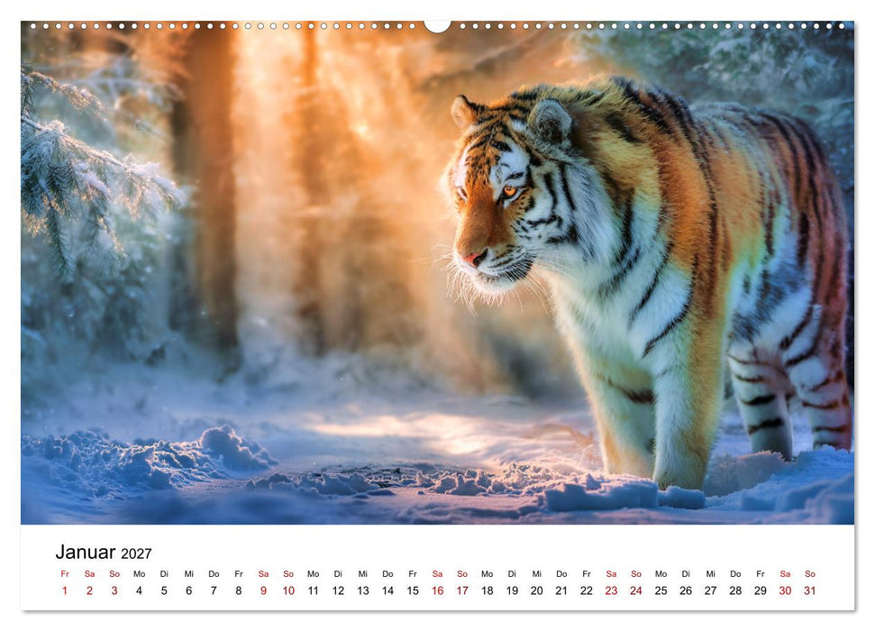 Wild.Edel.Stark. - Im Bann der Tiger (CALVENDO Premium Wandkalender 2027)