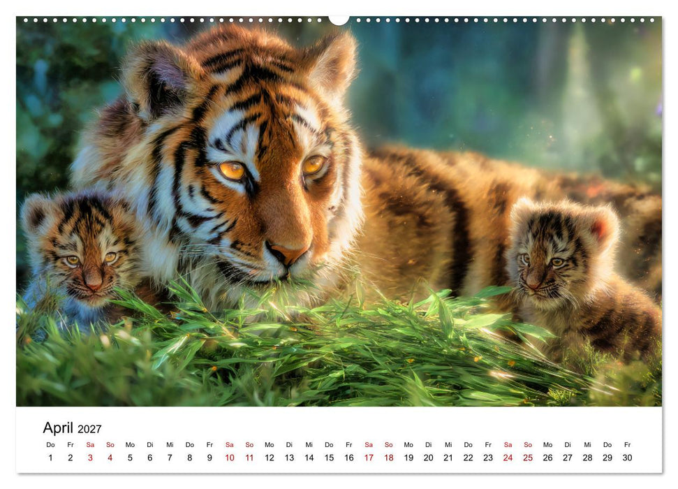 Wild.Edel.Stark. - Im Bann der Tiger (CALVENDO Premium Wandkalender 2027)
