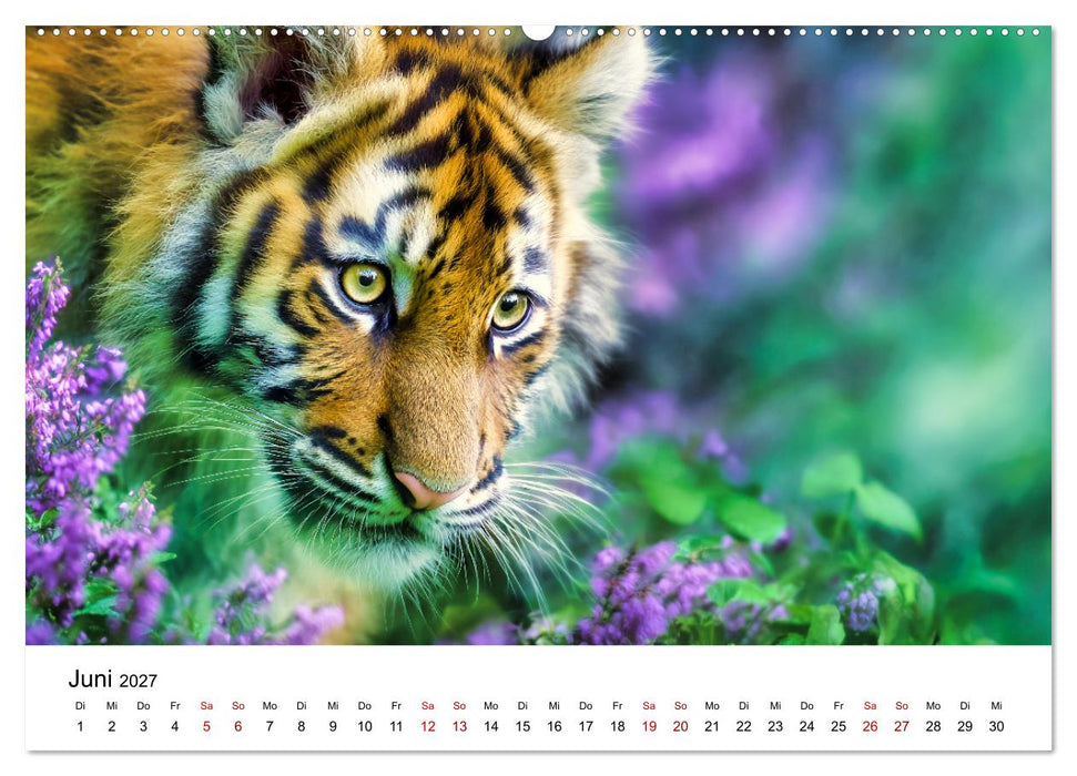 Wild.Edel.Stark. - Im Bann der Tiger (CALVENDO Premium Wandkalender 2027)