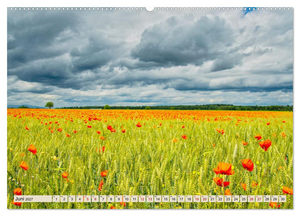 Freiburg Regio - Heimat in Bildern (CALVENDO Premium Wandkalender 2027)