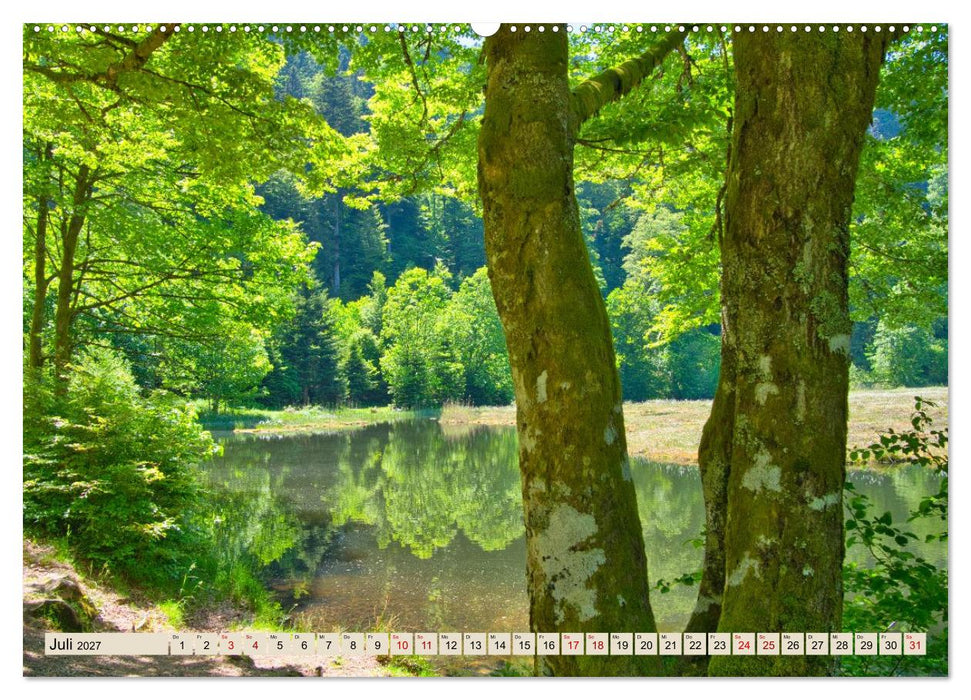 Freiburg Regio - Heimat in Bildern (CALVENDO Premium Wandkalender 2027)