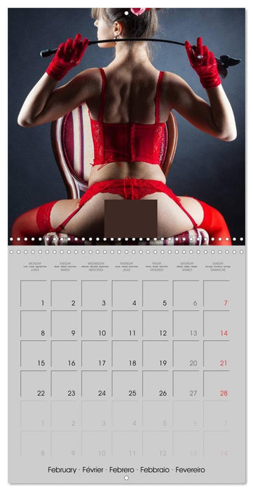 Erotica • Sensual Leather & Lingerie Fantasies (CALVENDO Monthly Calendar 2027)