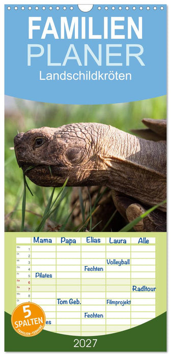 Landschildkröten (CALVENDO Familienplaner 2027)
