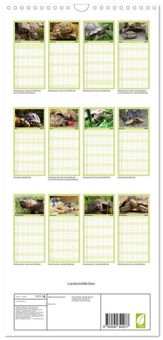 Landschildkröten (CALVENDO Familienplaner 2027)