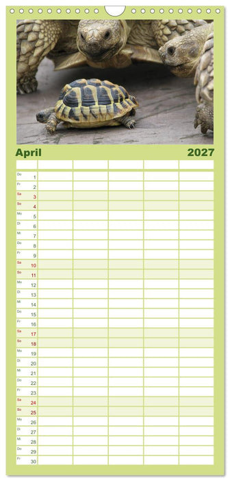 Landschildkröten (CALVENDO Familienplaner 2027)