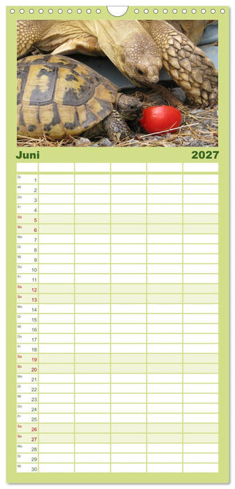 Landschildkröten (CALVENDO Familienplaner 2027)