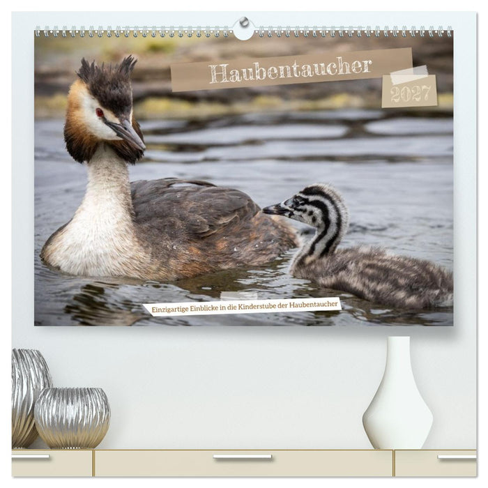 Einzigartige Einblicke in die Kinderstube der Haubentaucher (CALVENDO Premium Wandkalender 2027)