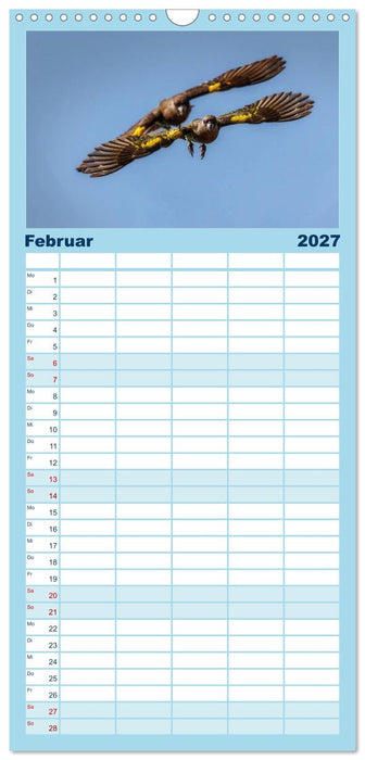 Papageien - Frech, schön und schlau (CALVENDO Familienplaner 2027)