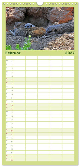 Erdmännchens Kinderstube (CALVENDO Familienplaner 2027)