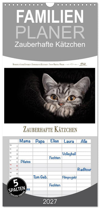 Zauberhafte Kätzchen (CALVENDO Familienplaner 2027)