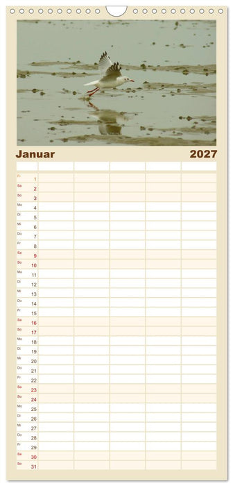 An der Nordsee (CALVENDO Familienplaner 2027)