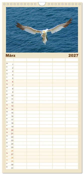 An der Nordsee (CALVENDO Familienplaner 2027)