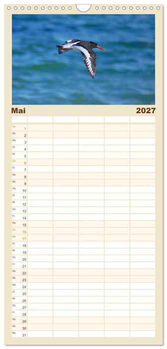 An der Nordsee (CALVENDO Familienplaner 2027)