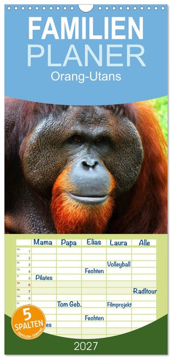 Orang-Utans (CALVENDO Familienplaner 2027)