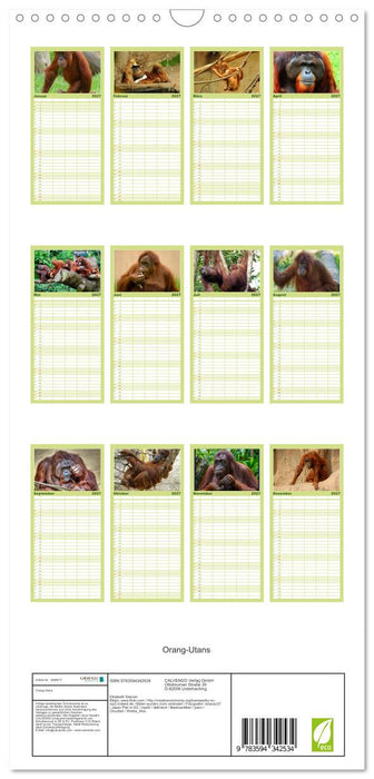 Orang-Utans (CALVENDO Familienplaner 2027)