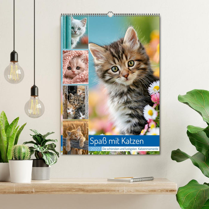 Spaß mit Katzen (CALVENDO Wandkalender 2027)